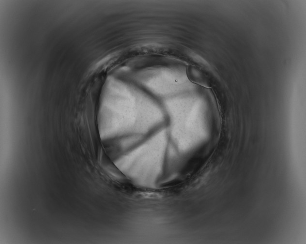 X0000086800822200705041606