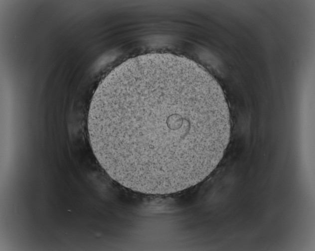 X0000086800824200705041606