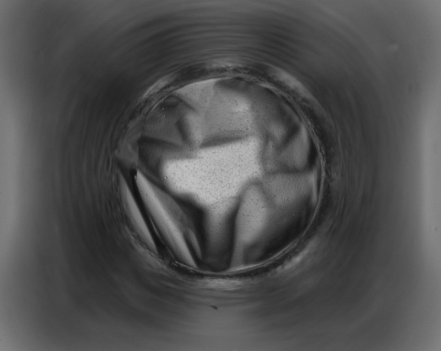 X0000086800825200705041606