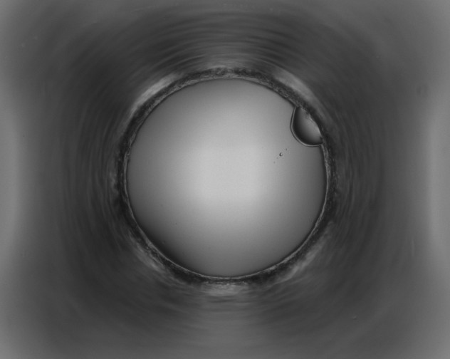 X0000086800826200705041606