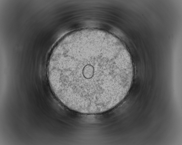 X0000086800828200705041606