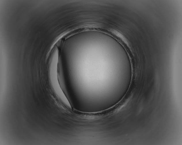 X0000086800829200705041606