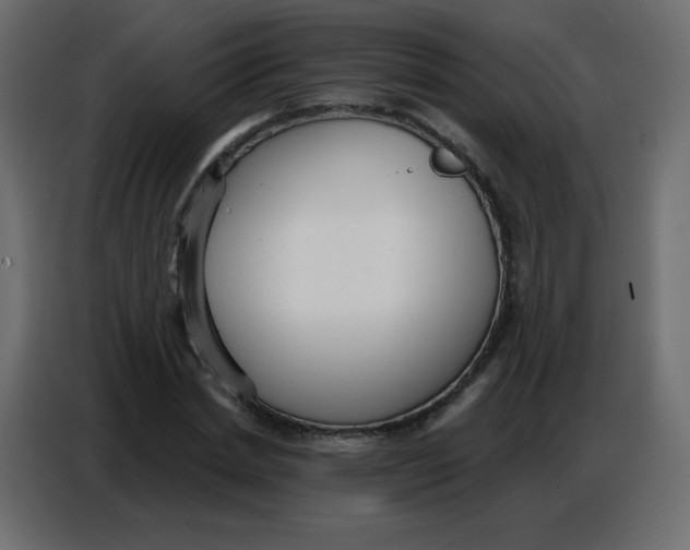 X0000086800830200705041606