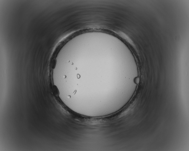 X0000086800831200705041606