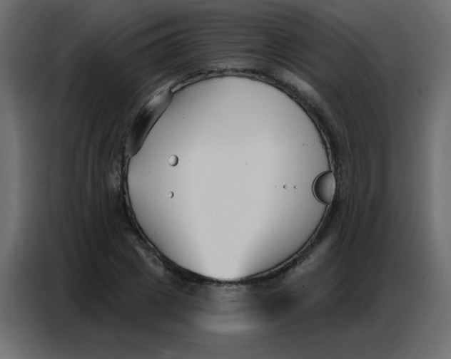 X0000086800833200705041606