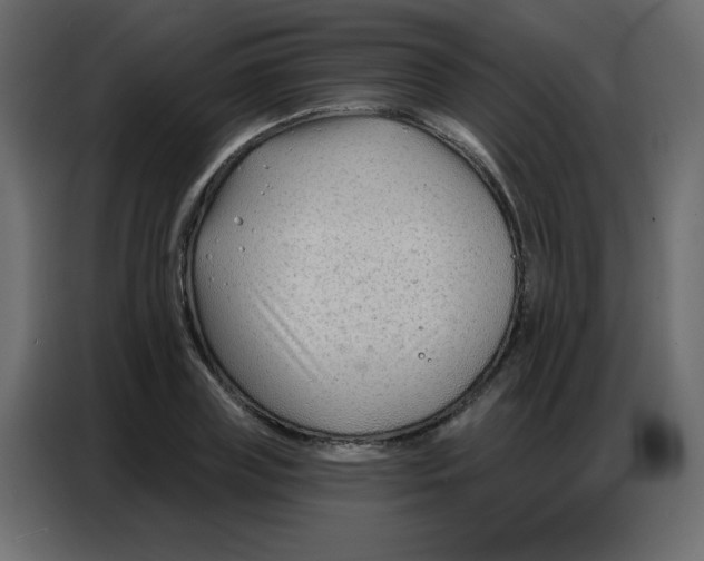 X0000086800835200705041606