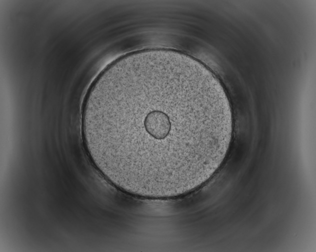 X0000086800836200705041606