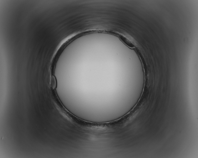 X0000086800838200705041606