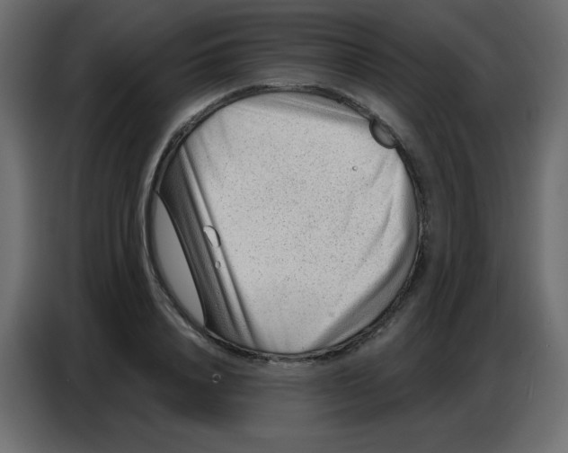 X0000086800840200705041606