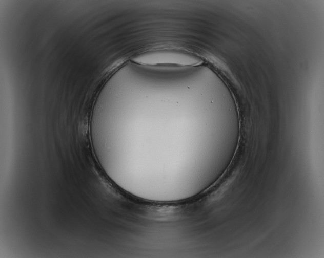 X0000086800841200705041606