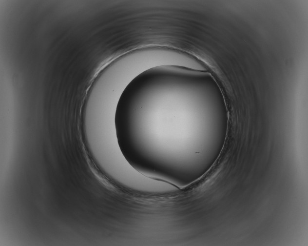 X0000086800842200705041607