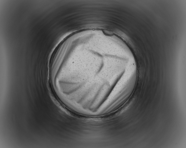 X0000086800844200705041607