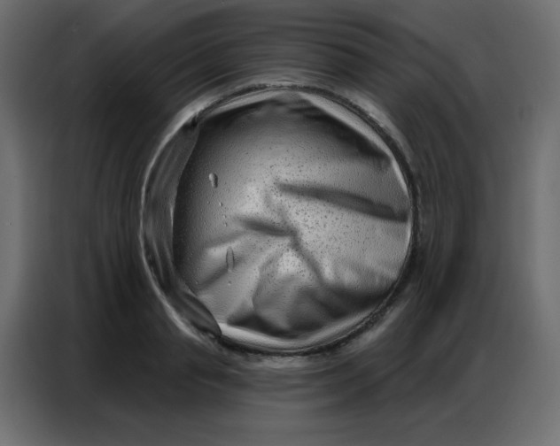 X0000086800845200705041607