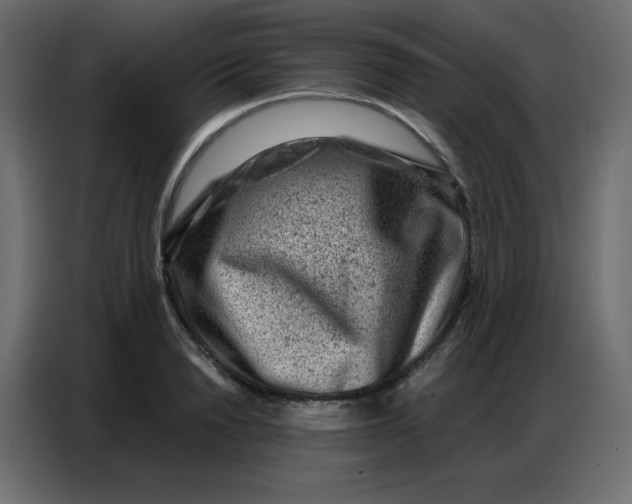 X0000086800846200705041607