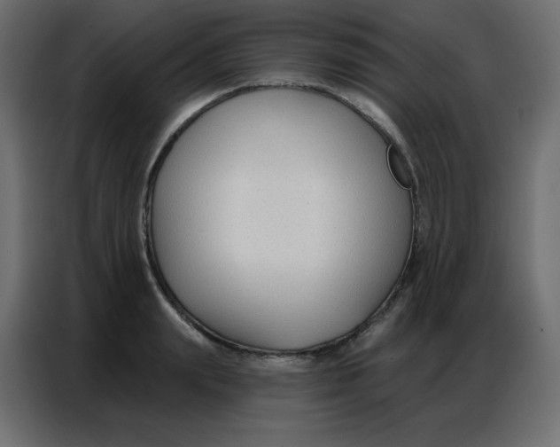 X0000086800847200705041607