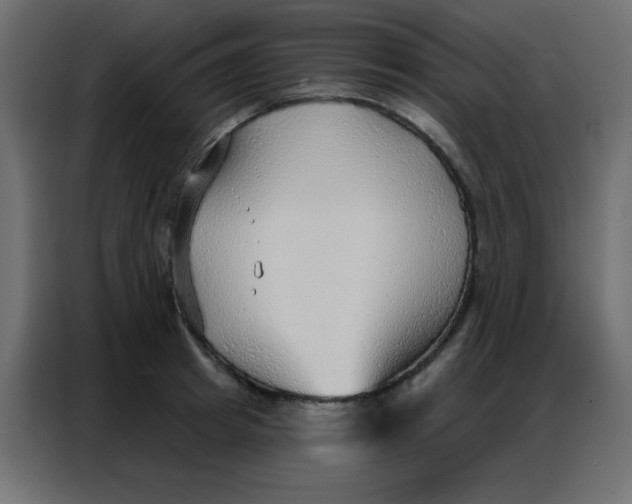 X0000086800849200705041607