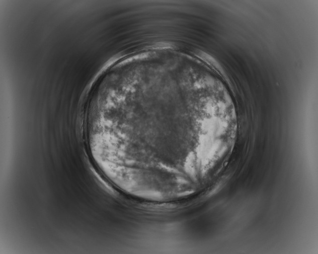 X0000086800851200705041607