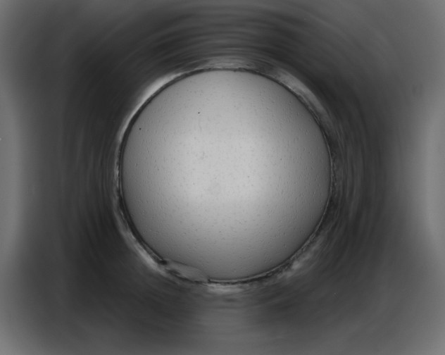 X0000086800852200705041607