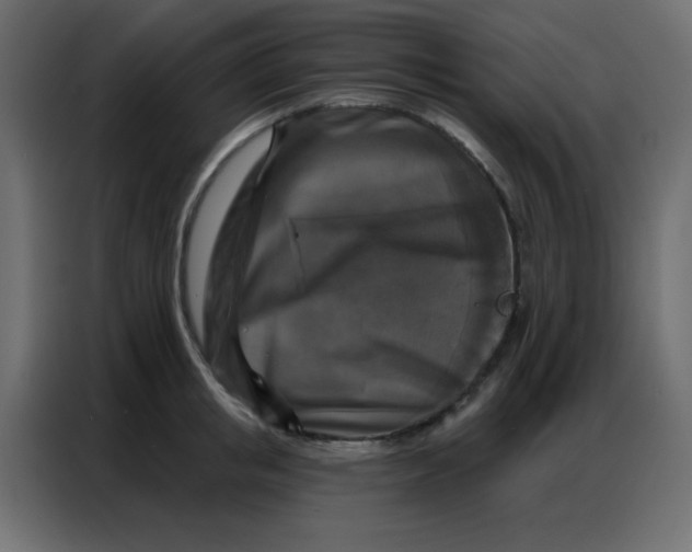 X0000086800853200705041607