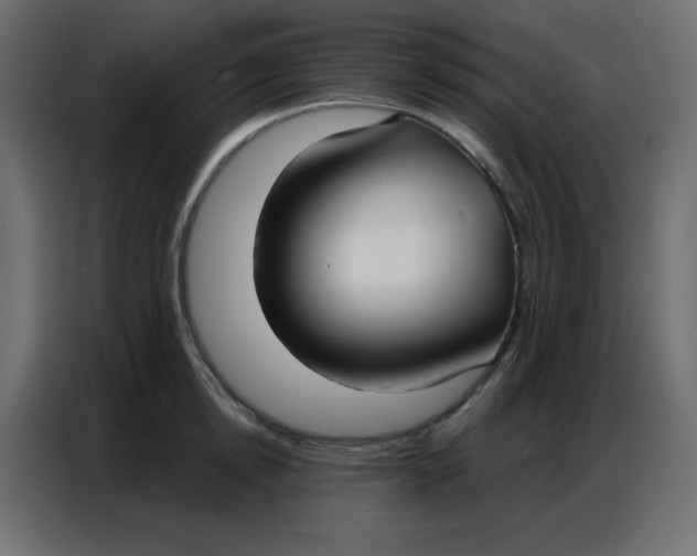 X0000086800854200705041607