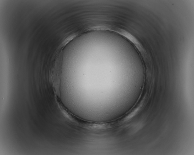 X0000086800857200705041607