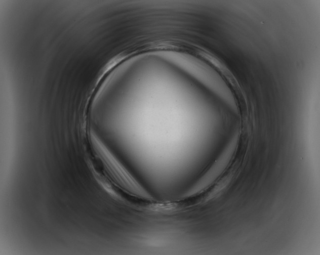 X0000086800858200705041607