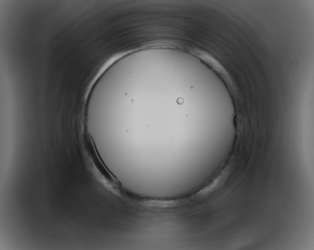 X0000086800860200705041607