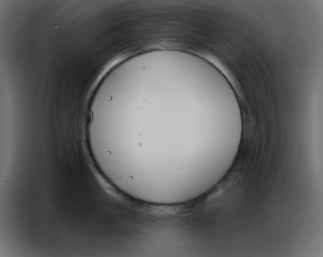 X0000086800861200705041607