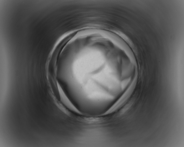 X0000086800862200705041607