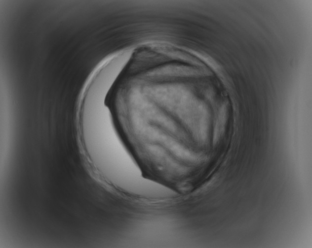 X0000086800864200705041607