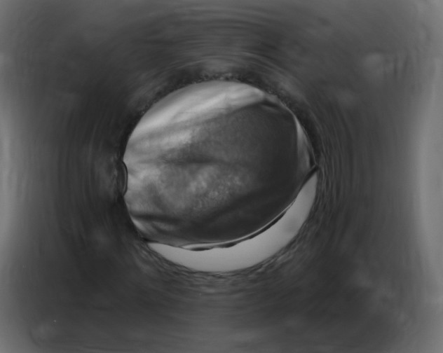 X0000086800868200705041606