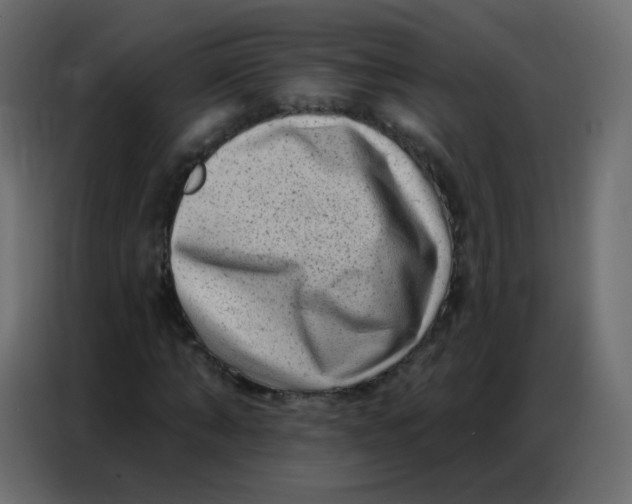 X0000086800870200705041606