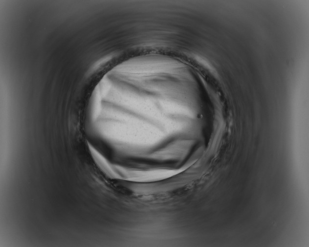 X0000086800872200705041606