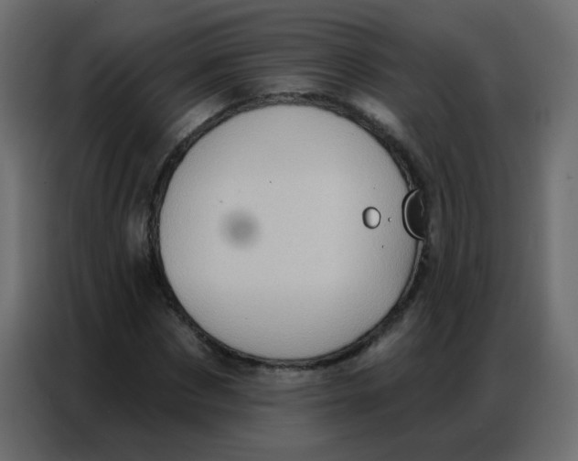 X0000086800873200705041606