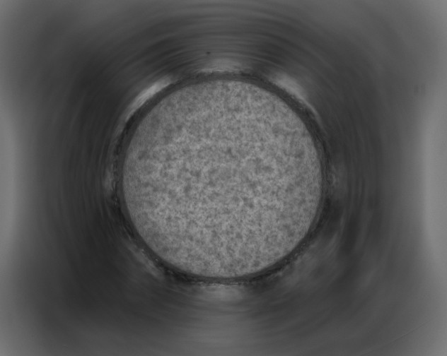 X0000086800874200705041606