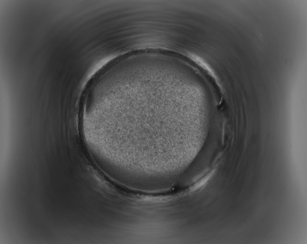 X0000086800877200705041606