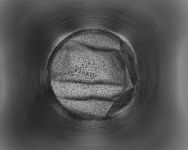 X0000086800879200705041606