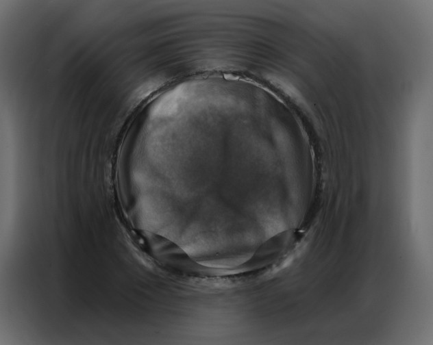 X0000086800881200705041606