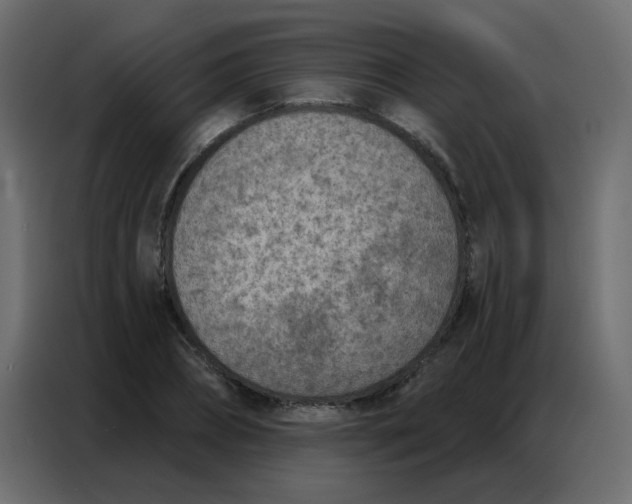 X0000086800882200705041606