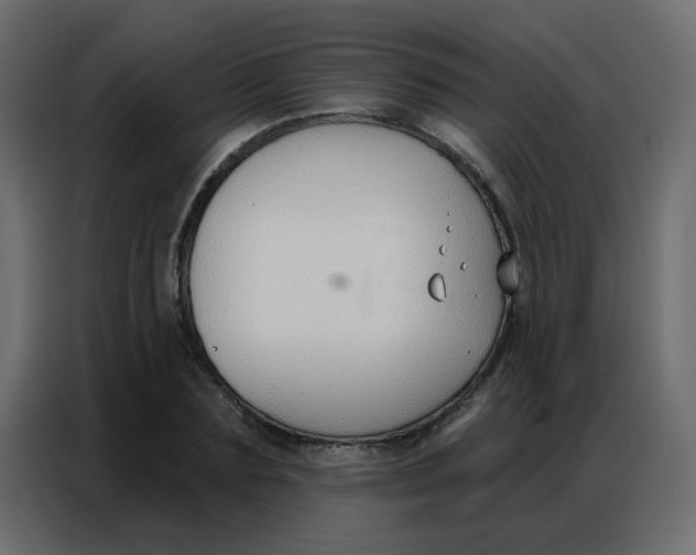 X0000086800883200705041606