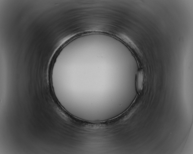 X0000086800884200705041606