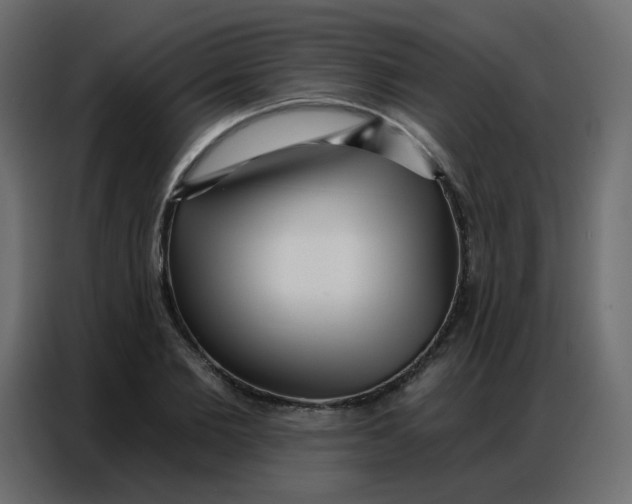 X0000086800885200705041606