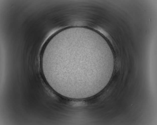 X0000086800886200705041606