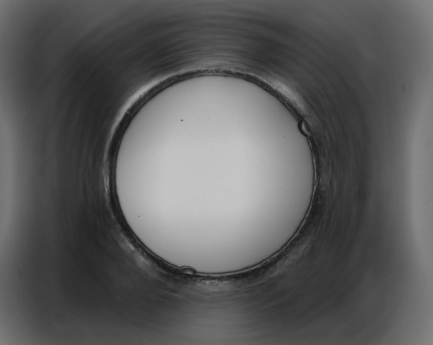 X0000086800888200705041606