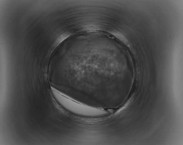 X0000086800889200705041606