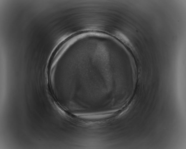 X0000086800892200705041606