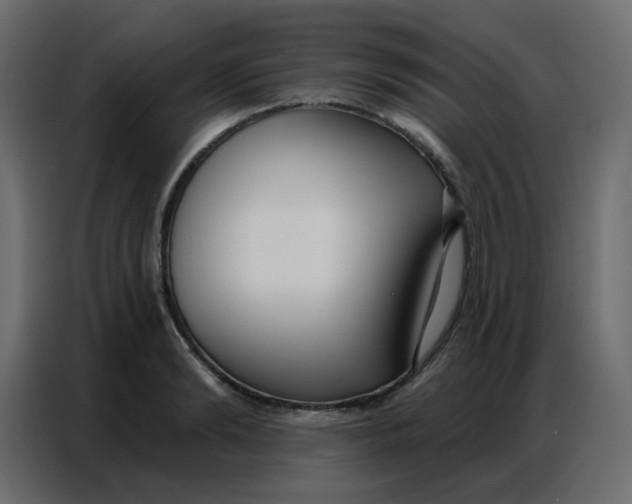 X0000086800894200705041606