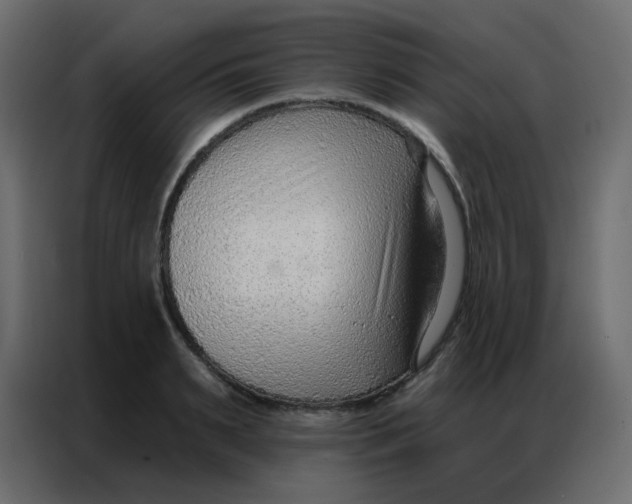 X0000086800895200705041606