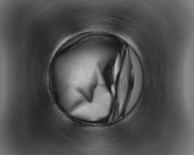 X0000086800896200705041606