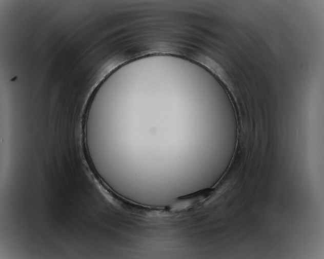 X0000086800898200705041606